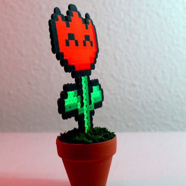 Plante tulipe joyeuse
