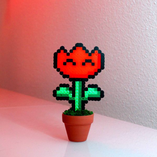 Plante tulipe joyeuse
