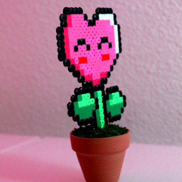Plante coeur