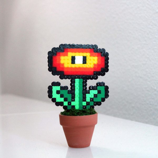 Plante de feu