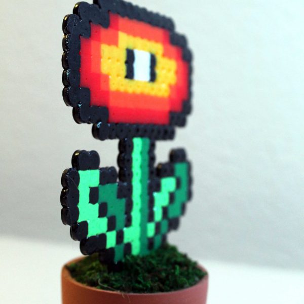 Plante de feu