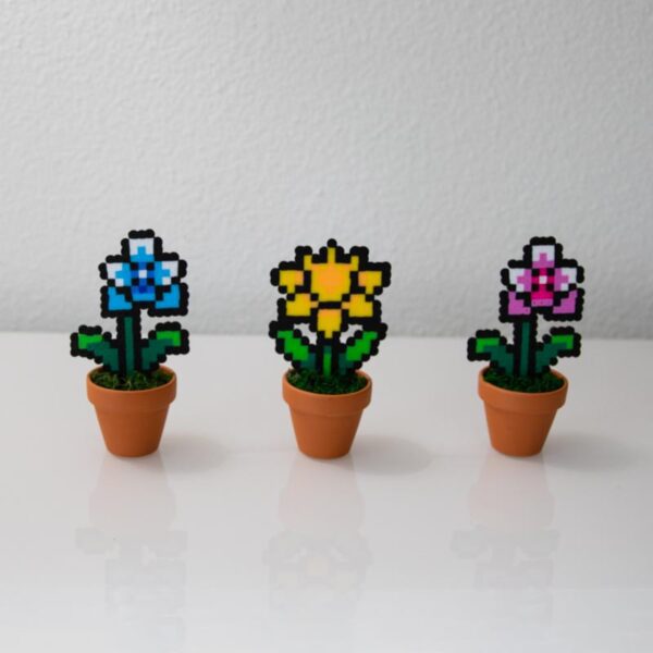 Jolie petite plante