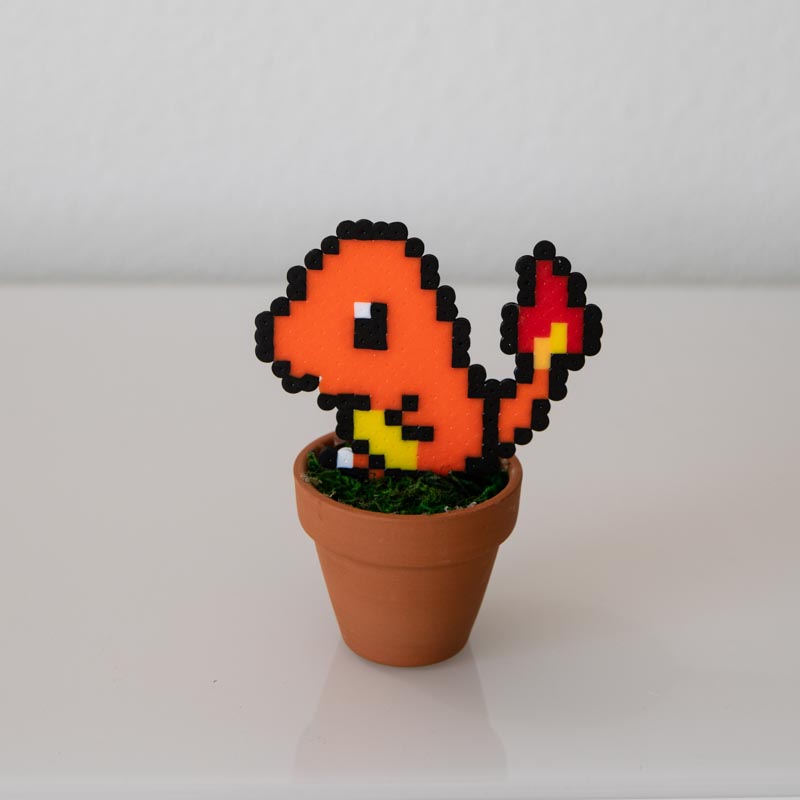 Un Pokémon sauvage apparaît! – Image 7
