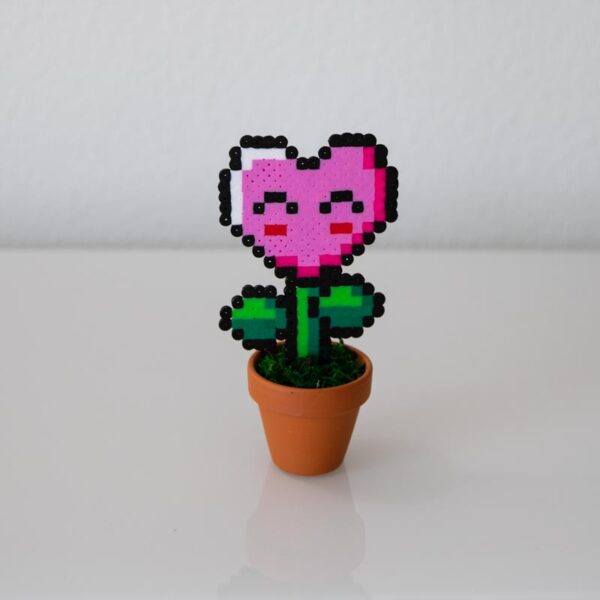 Plante coeur