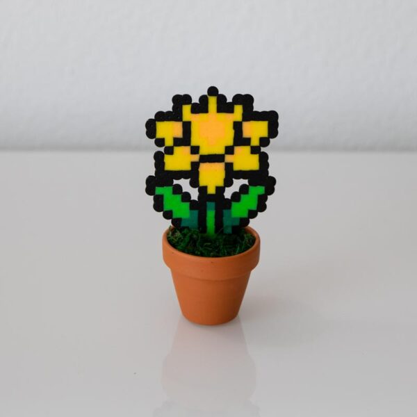 Jolie petite plante