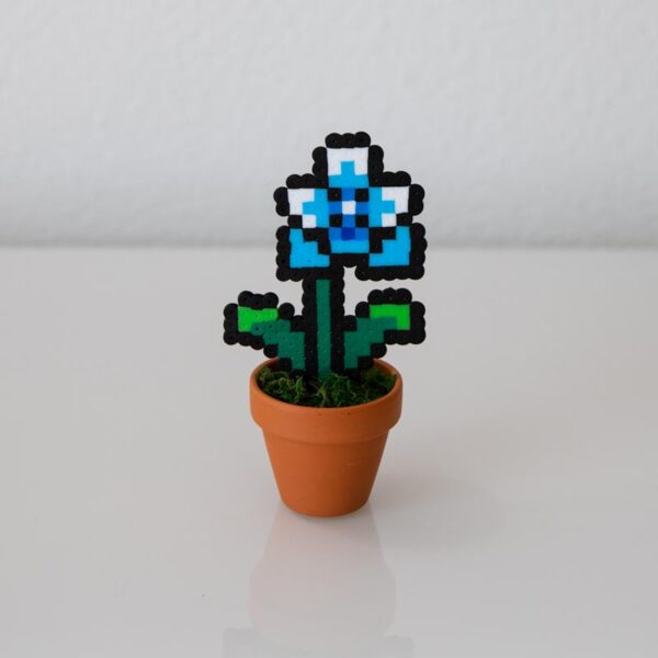 Jolie petite plante