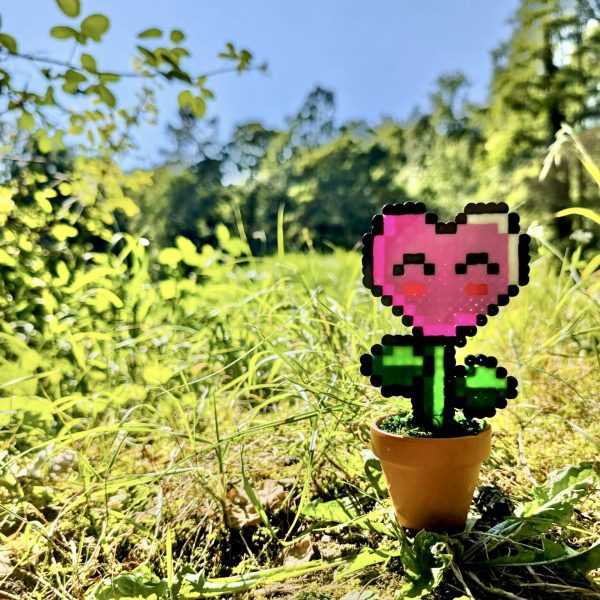 Plante coeur