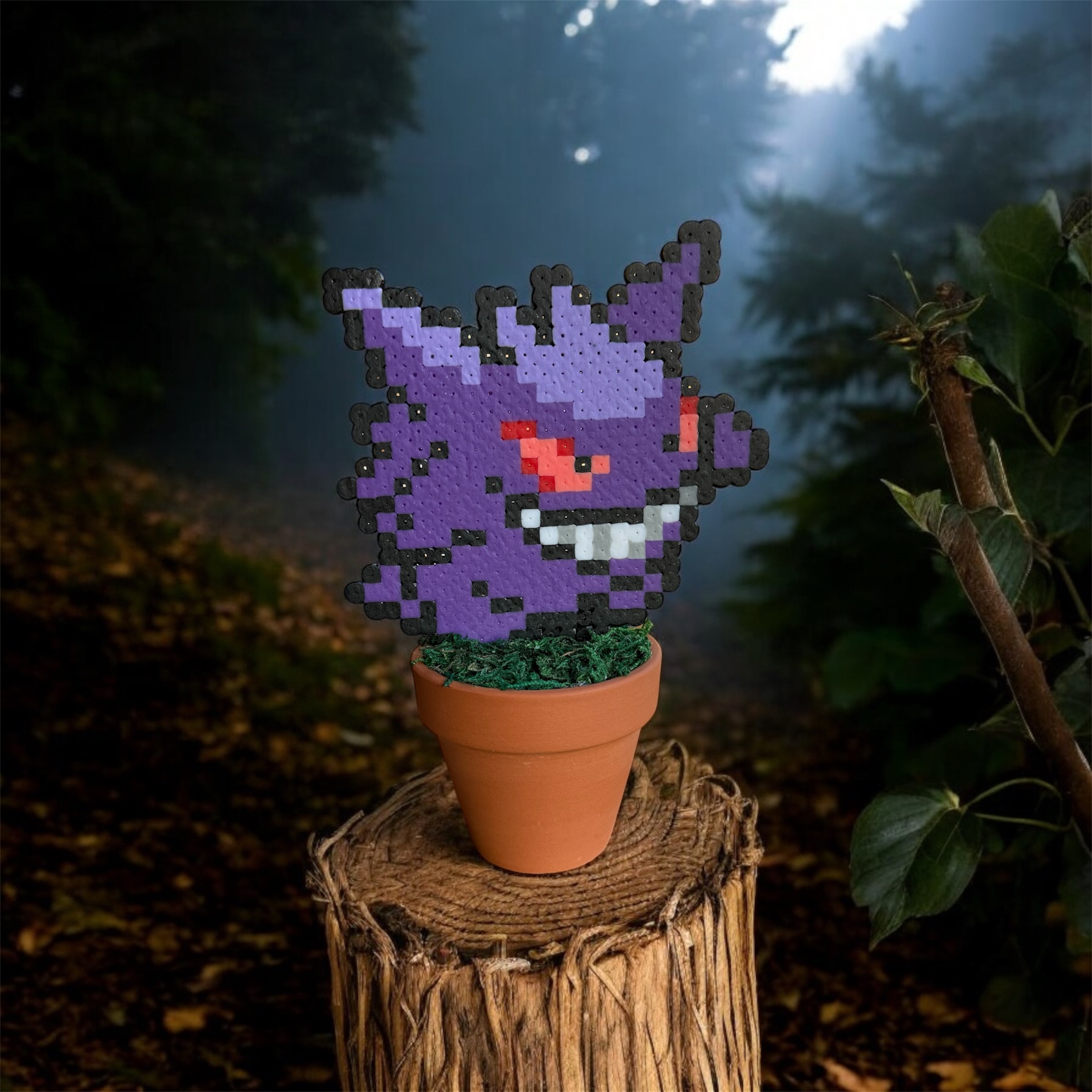Un Pokémon sauvage apparaît! – Image 3