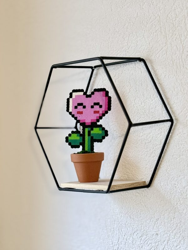Plante coeur
