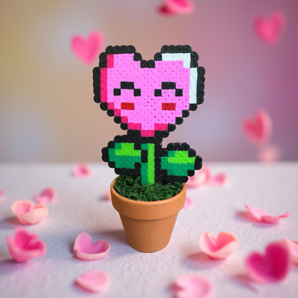 Plante coeur