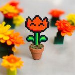 Plante tulipe joyeuse