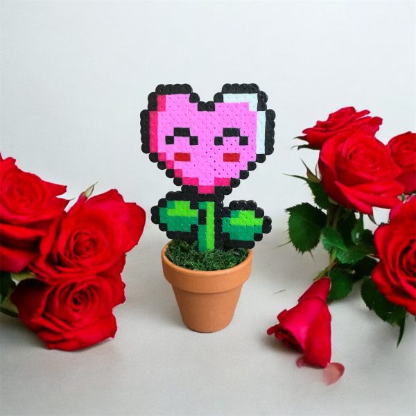 Plante coeur
