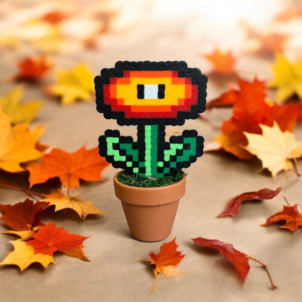 Plante de feu