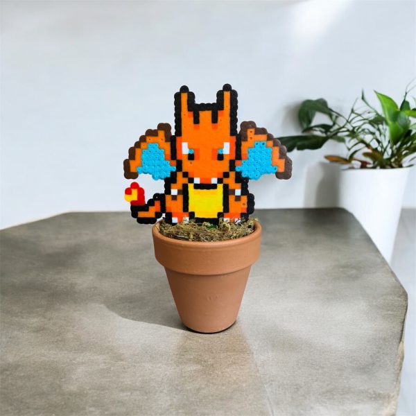Evolutions