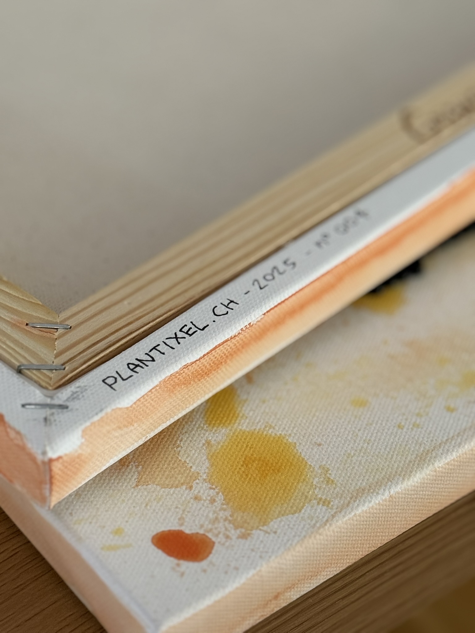 Tableaux Pokémon – Image 5