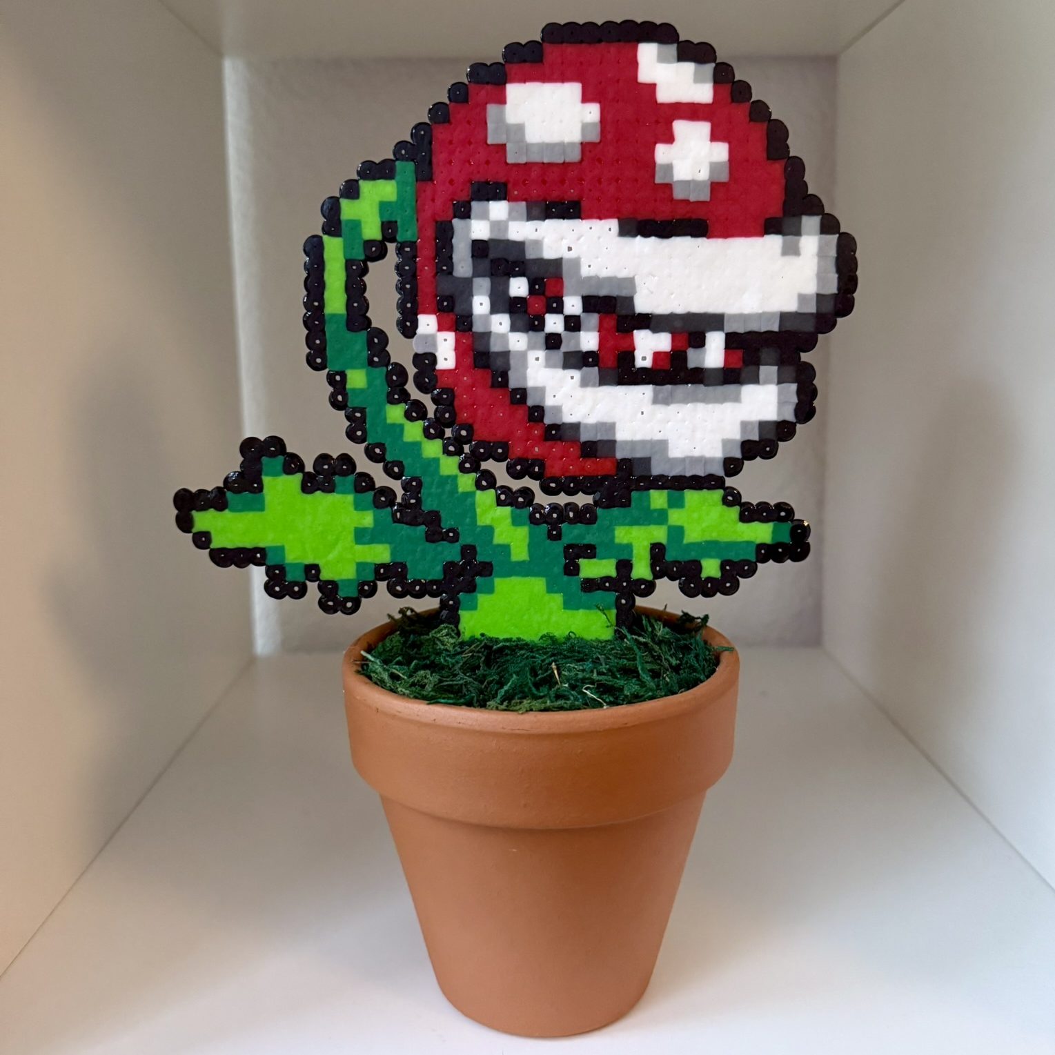 Mega plante Piranha – Image 4