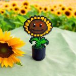 Tournesol joyeux