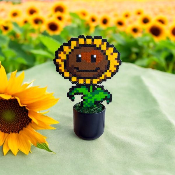 Tournesol joyeux