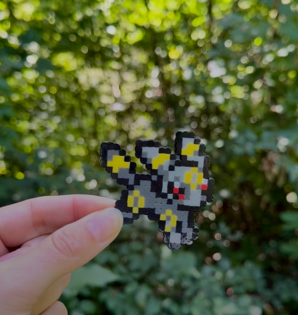 Aimants Pokémon