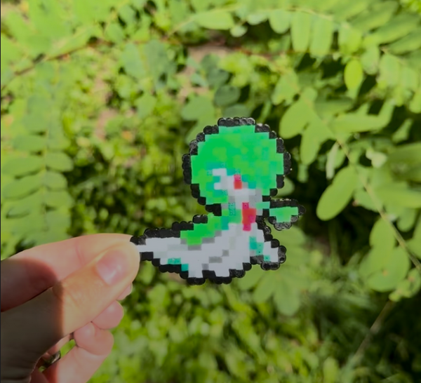 Aimants Pokémon