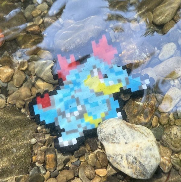 Aimants Pokémon