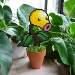 Chétiflor