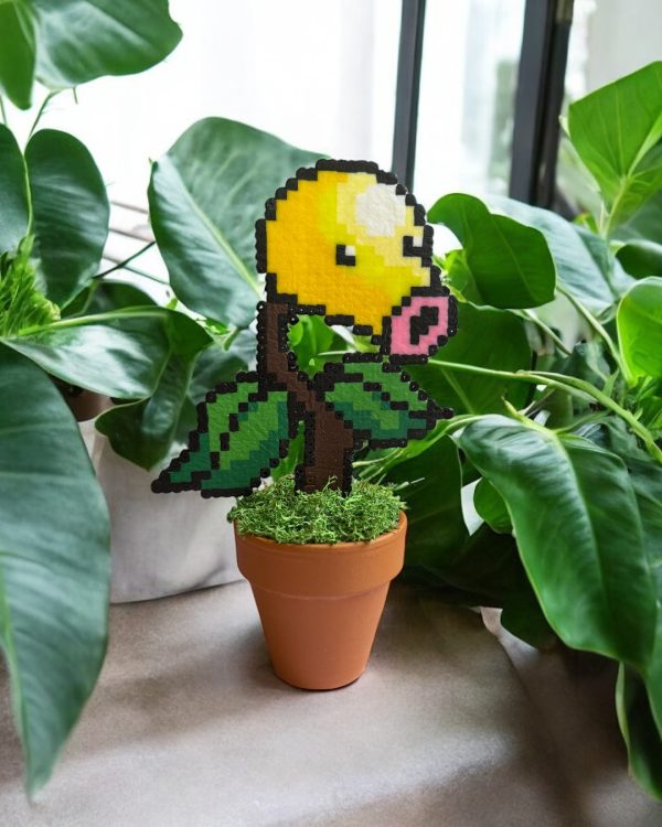 Chétiflor