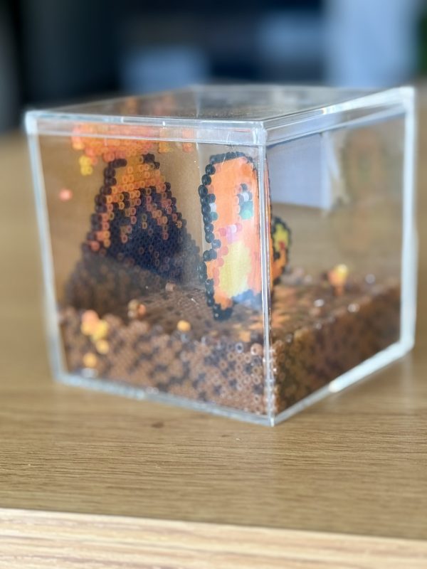 Cube Salamèche