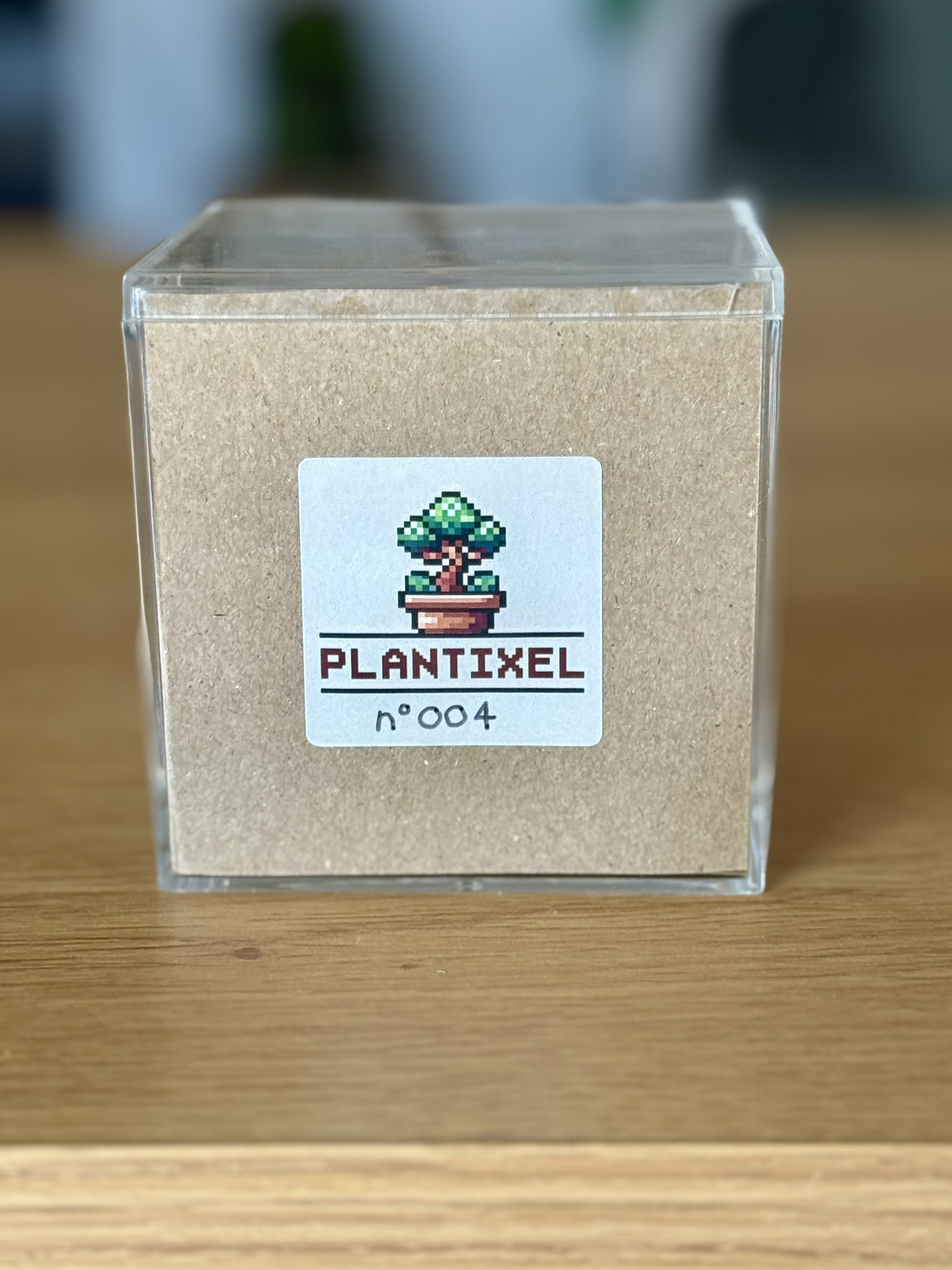 Cube Salamèche – Image 4