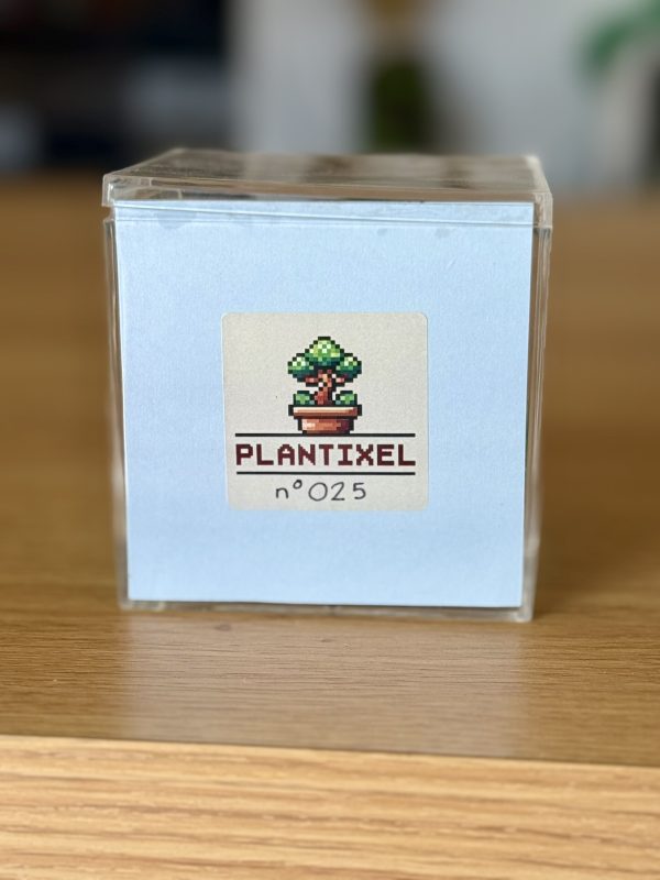 Cube Pikachu
