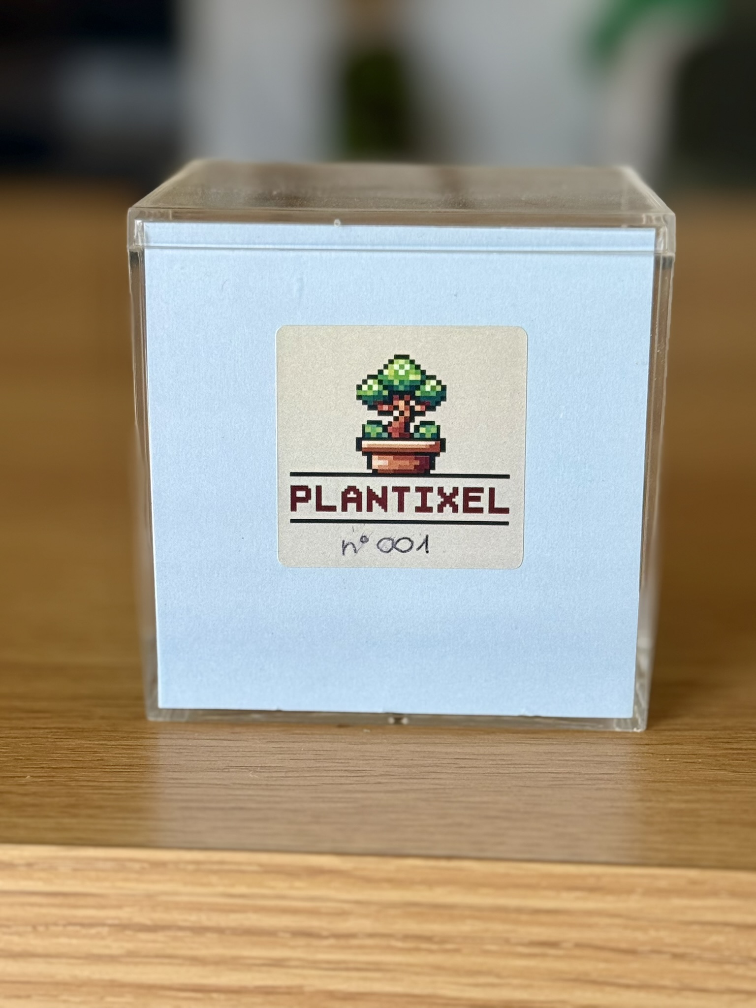 Cube Bulbizarre – Image 4