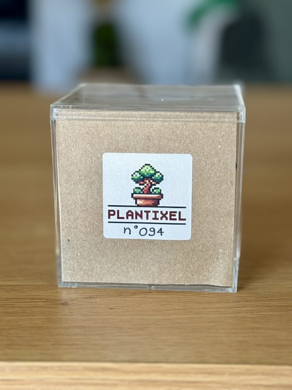 Cube Ectoplasma