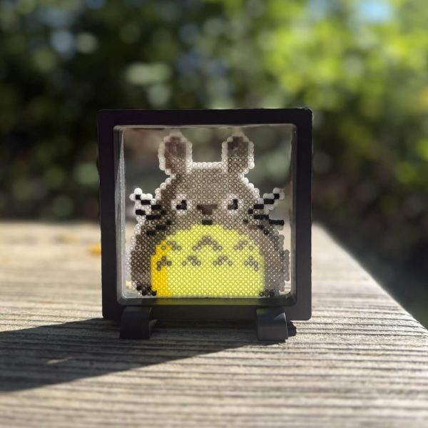 Tableau flottant Totoro
