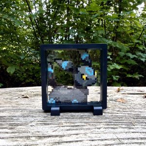 Tableau flottant Noctali